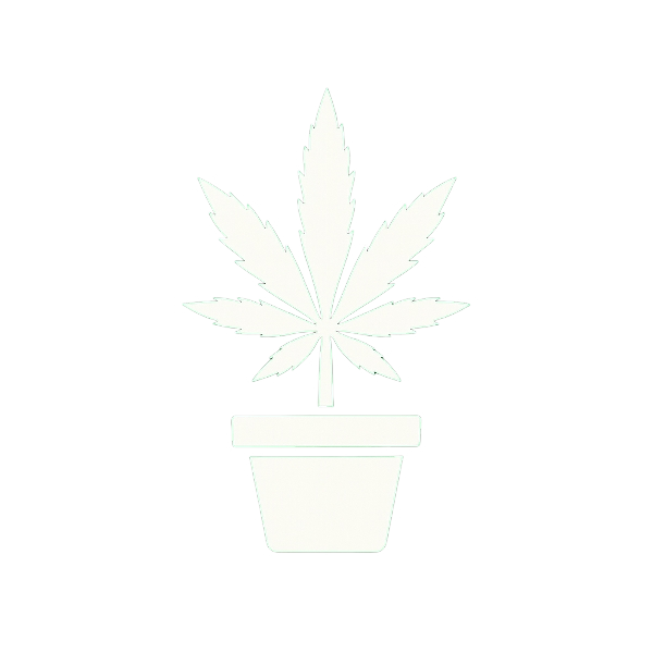 Cultivo